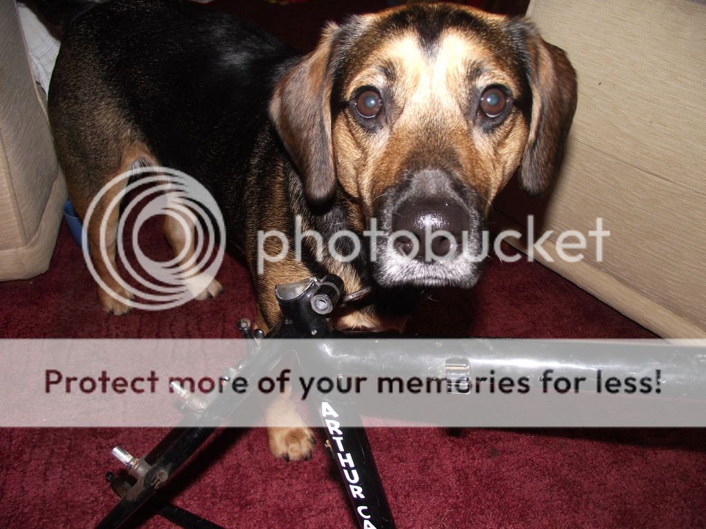 DSCF3581.jpg