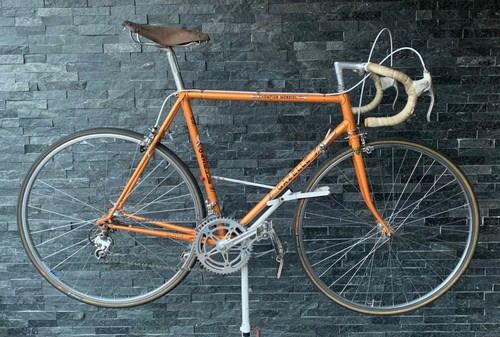 vintage gazelle road bike
