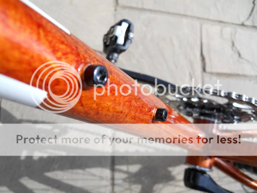 DSCN1188.jpg