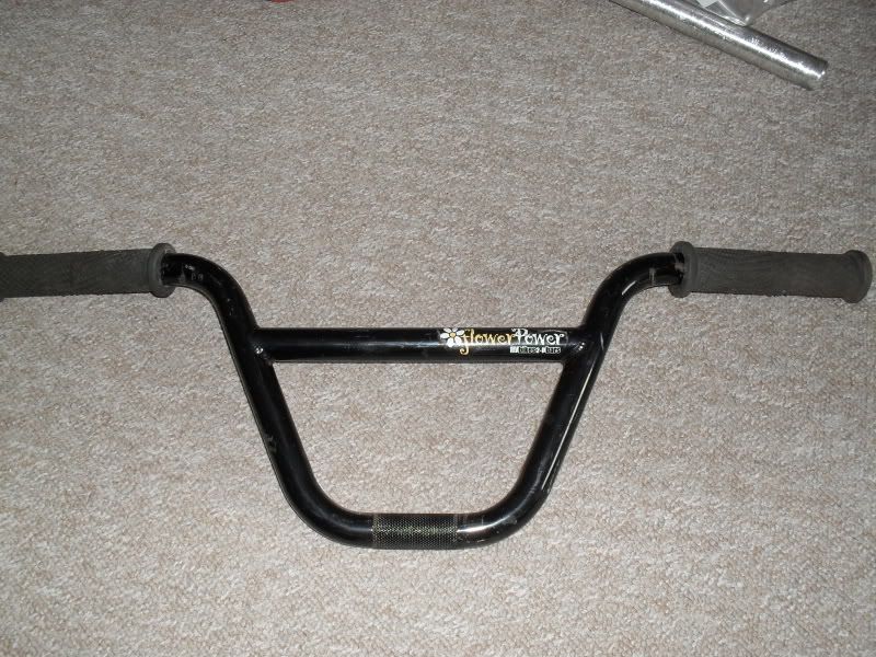 SDC12618.jpg