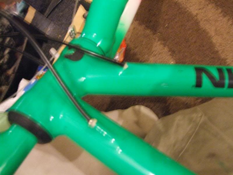 DSCF1527.jpg