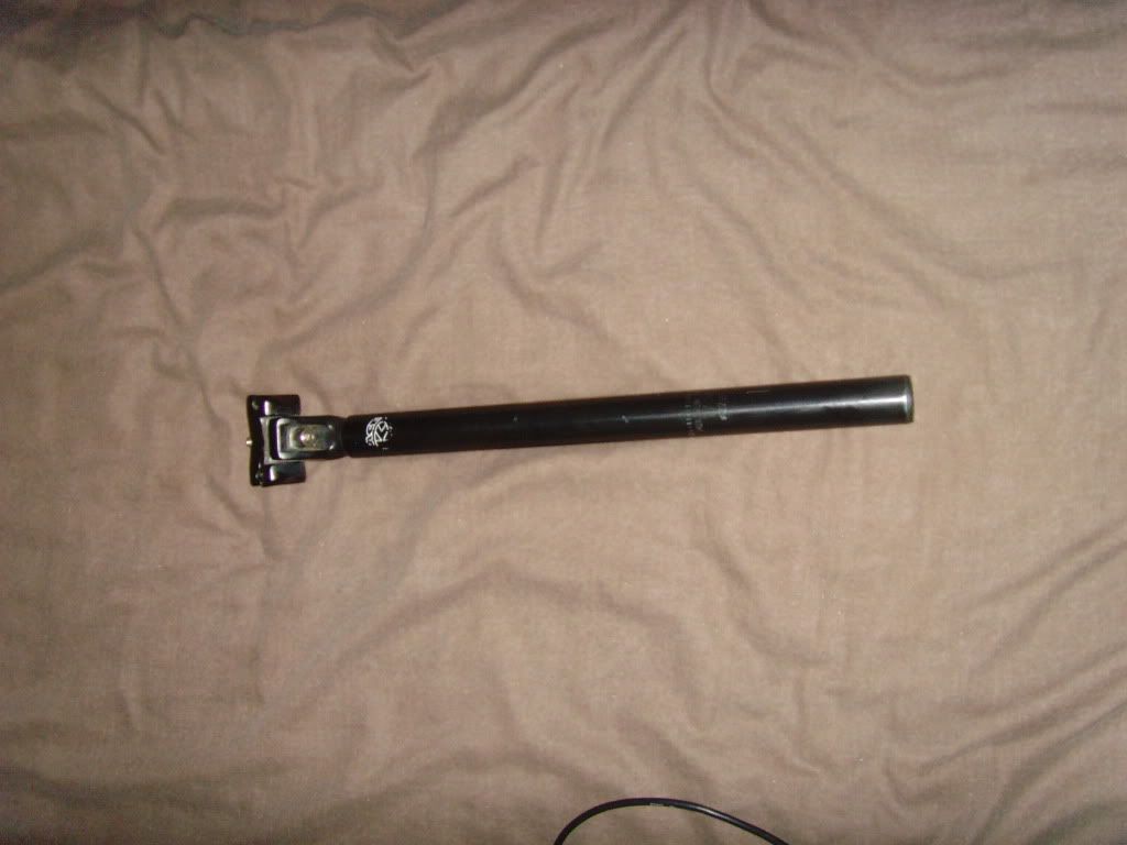 SNV33972.jpg