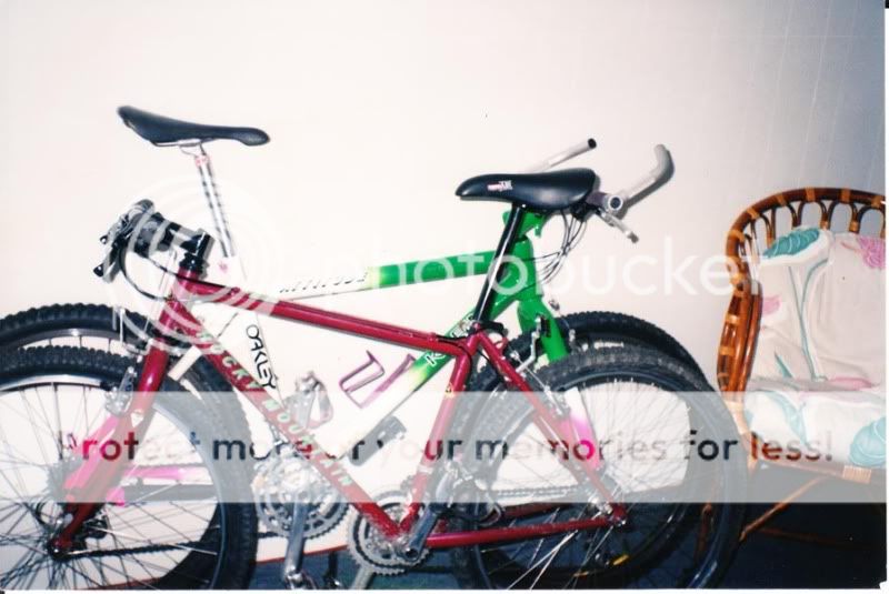 1992attitude.jpg