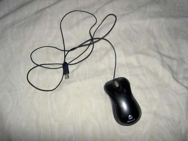 PICT5587.jpg