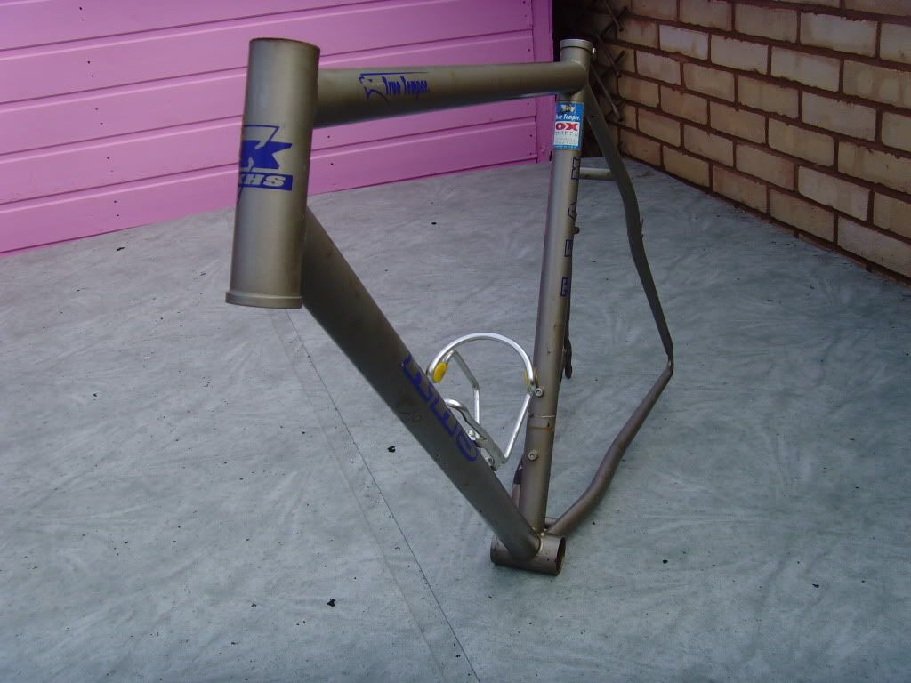 SNV35578.jpg