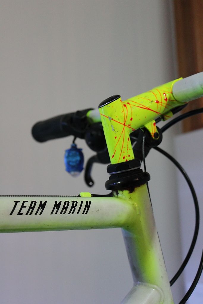 Marin011_zpsb684005c.jpg