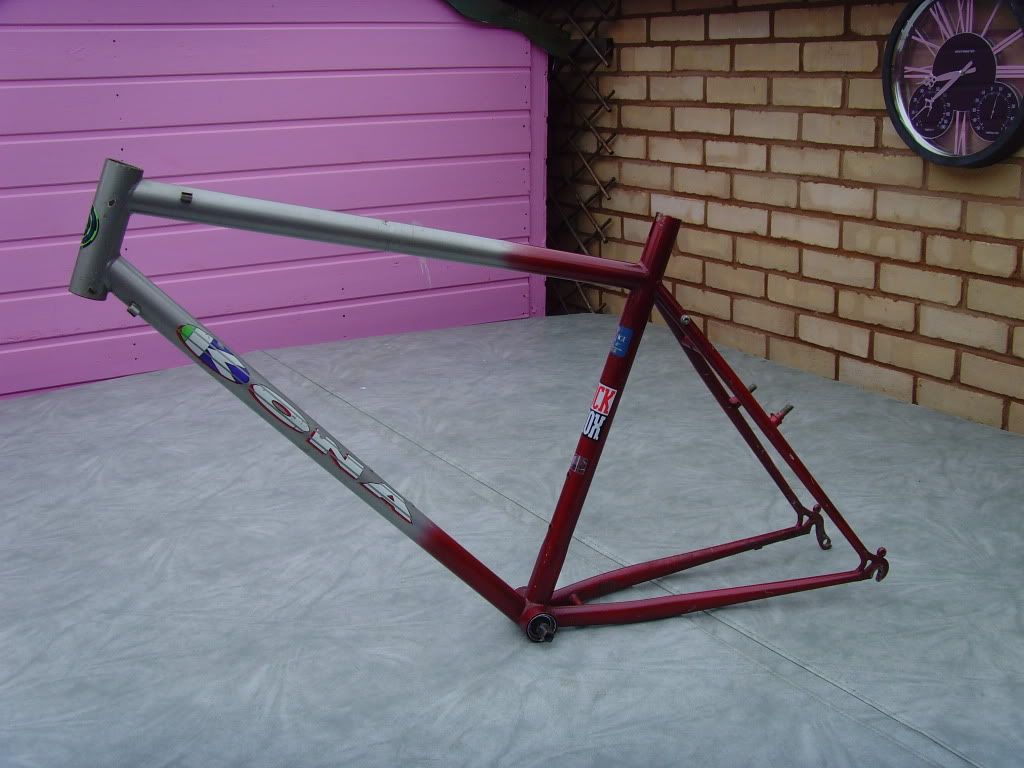 SNV36485.jpg