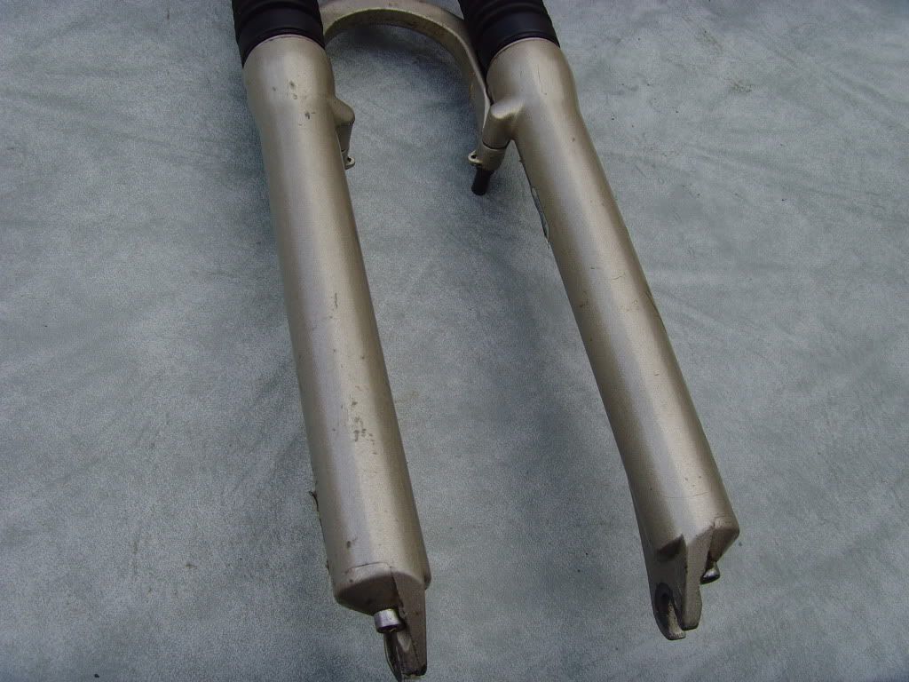 SNV36460.jpg