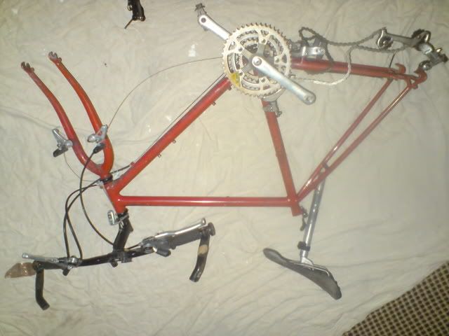 DSC01117.jpg