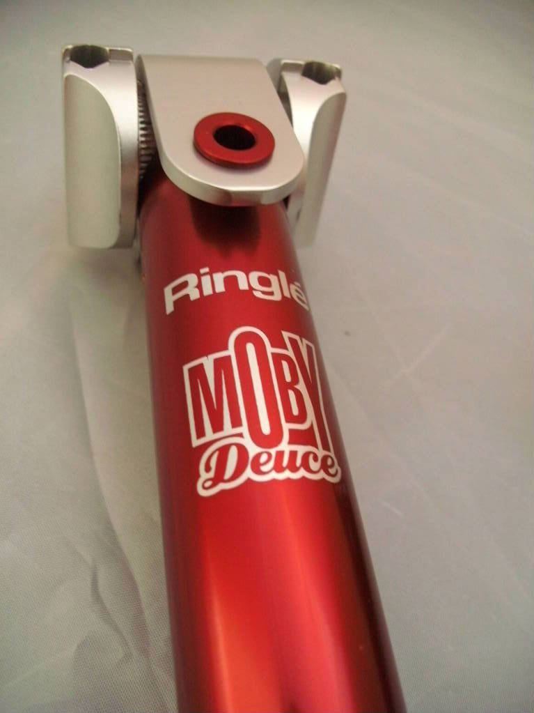 P1020451-1.jpg