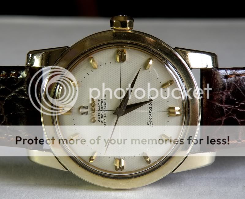 P1100005ddd.jpg