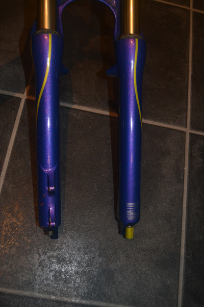 p4pb7407013.jpg