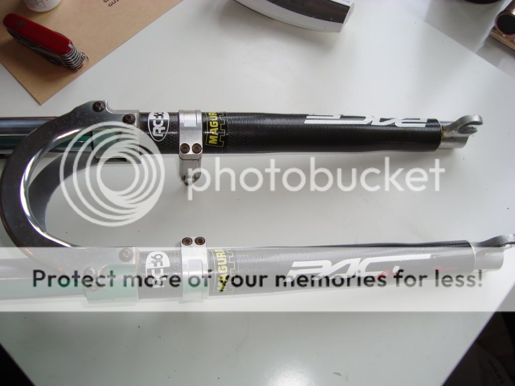 DSC02894.jpg
