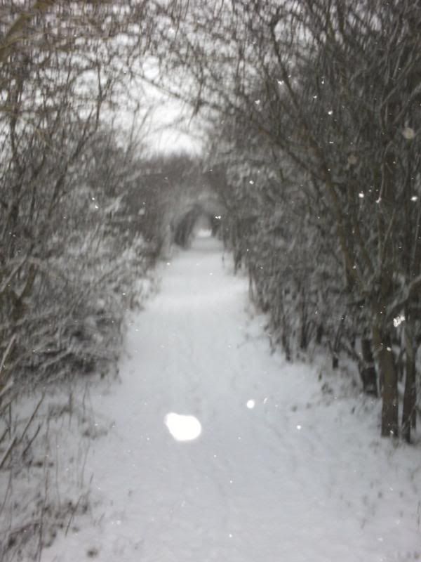 trailsinsnow2010004.jpg