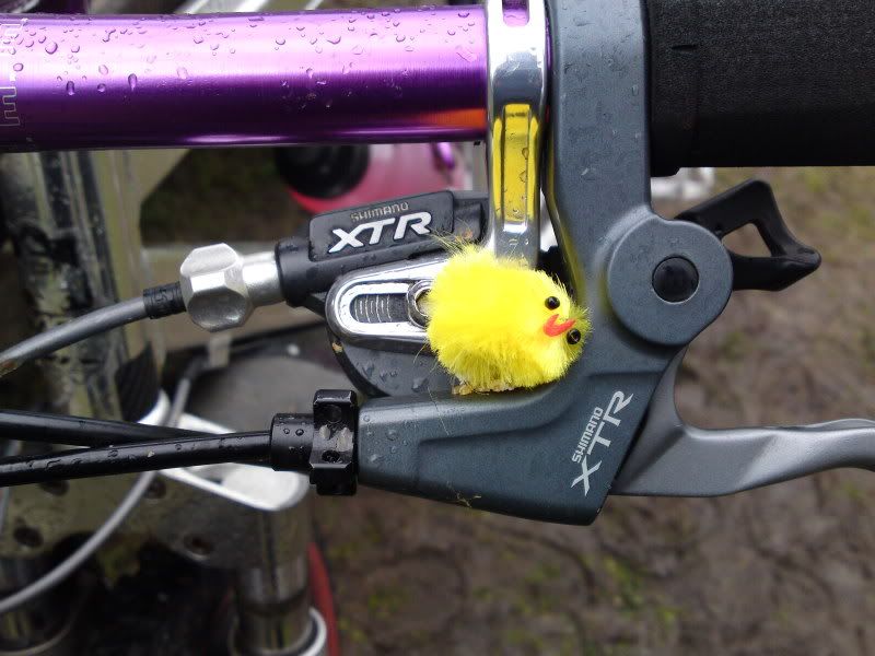 03042010629.jpg