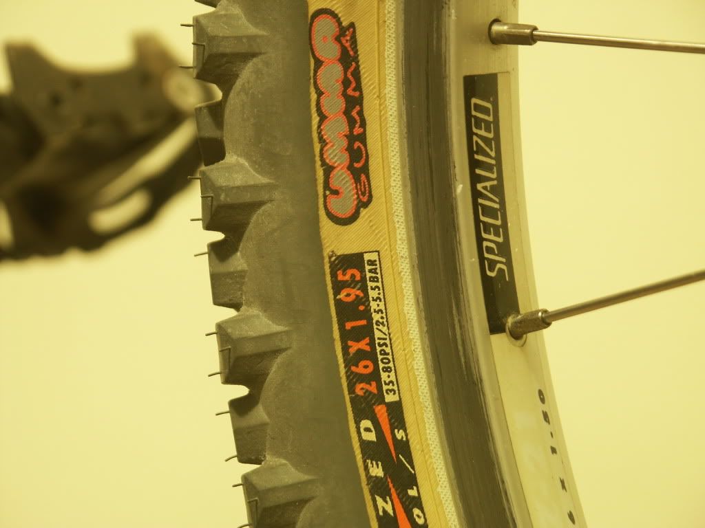 PICT2742.jpg