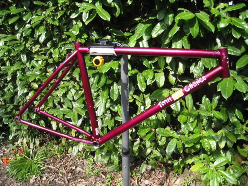 YoEddyFrame003.jpg