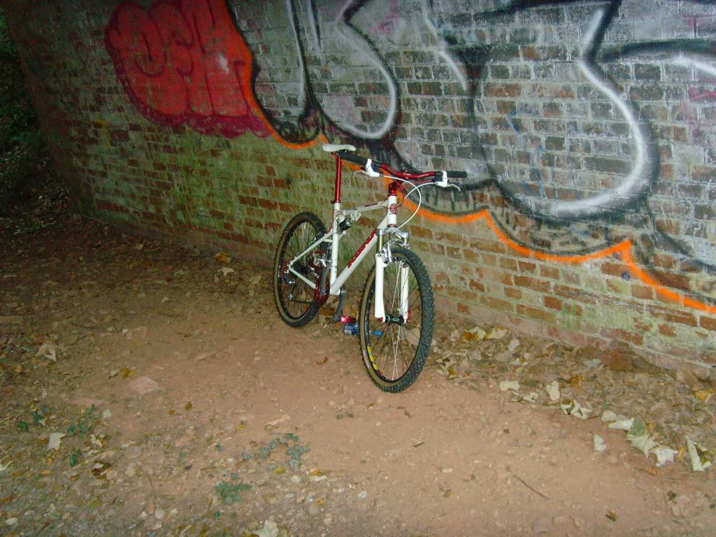 SNV34704.jpg