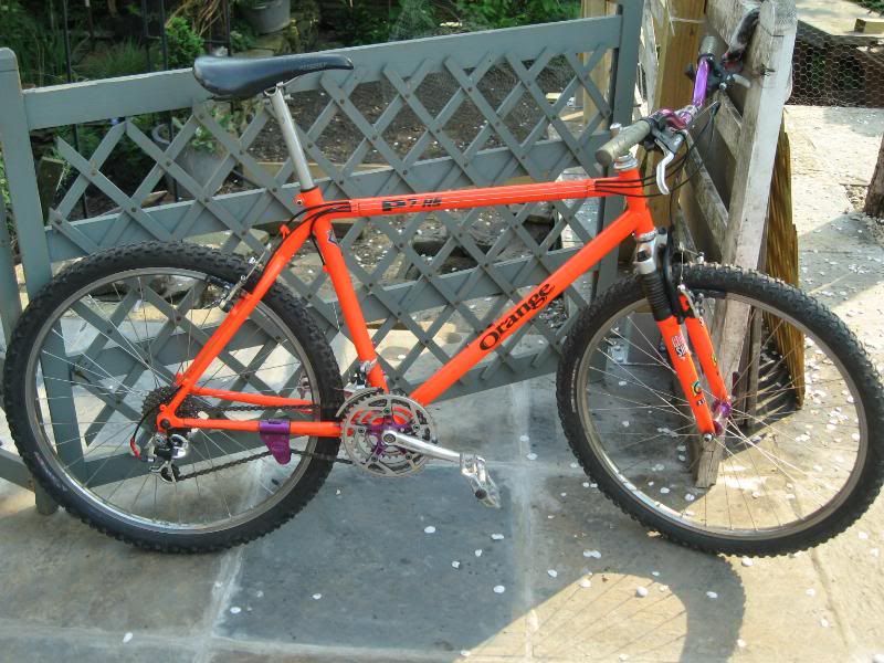 Picture458-1.jpg