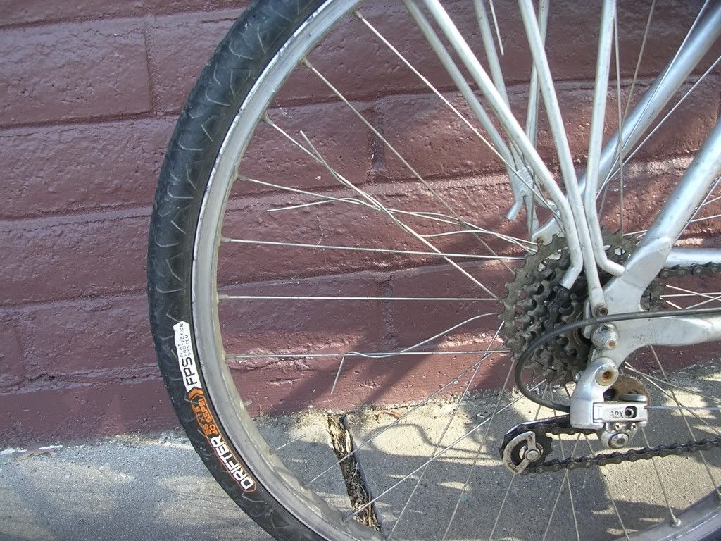 cunningham03.jpg