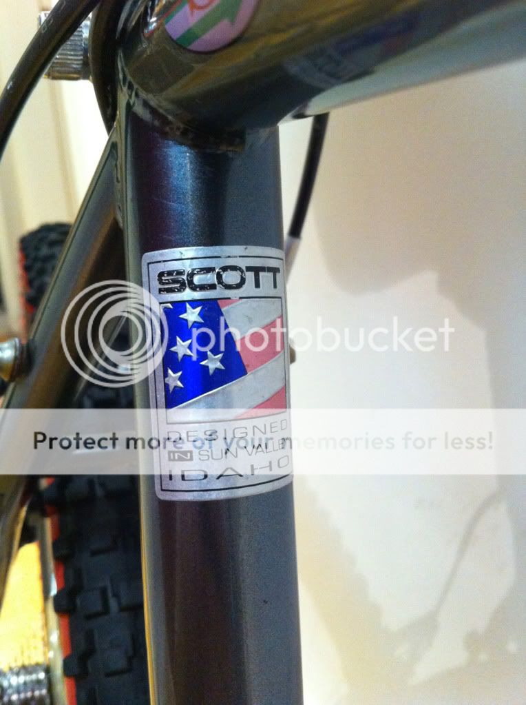 scott7.jpg