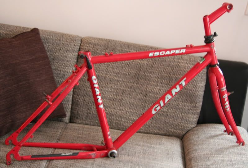 IMG_8196_giant.jpg