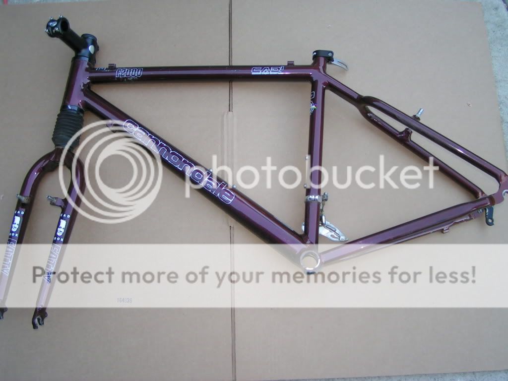 PICT1382-6.jpg