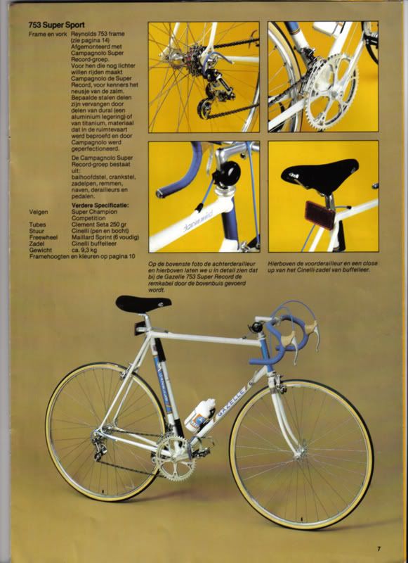 gazelle6.jpg