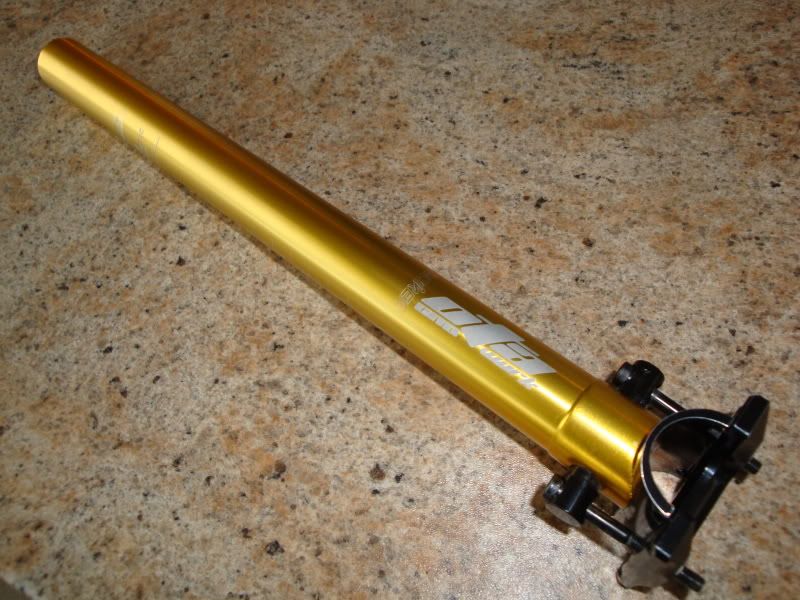 Saker002.jpg