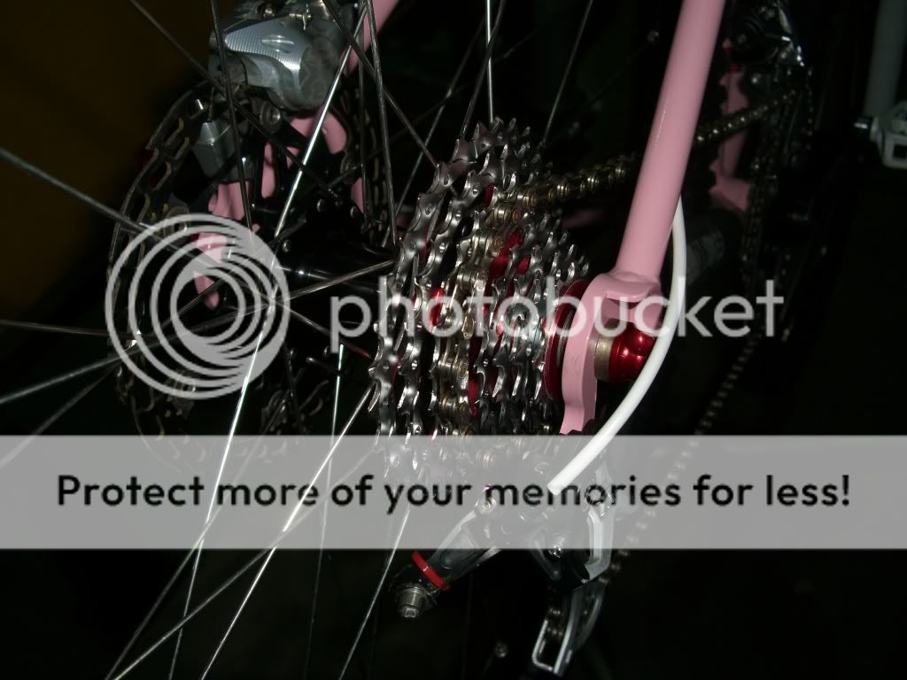 pinkl002.jpg