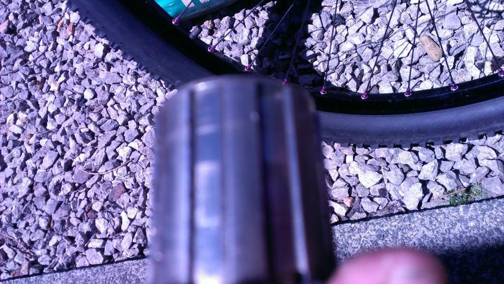 IMAG0640.jpg