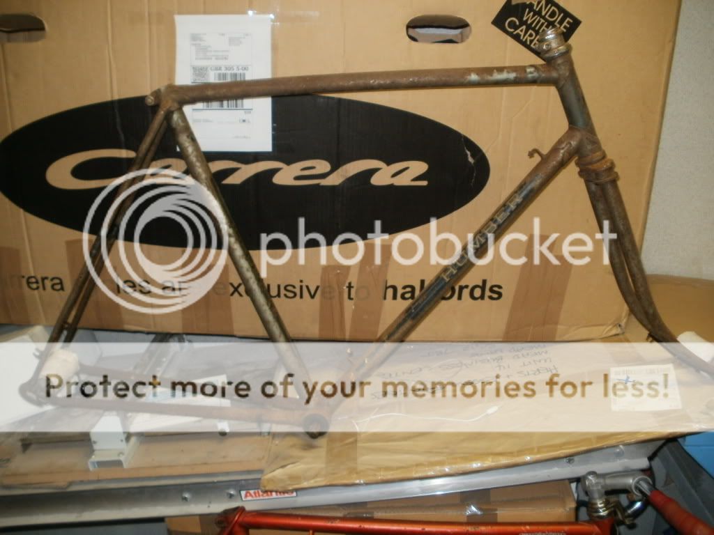 PC131000.jpg