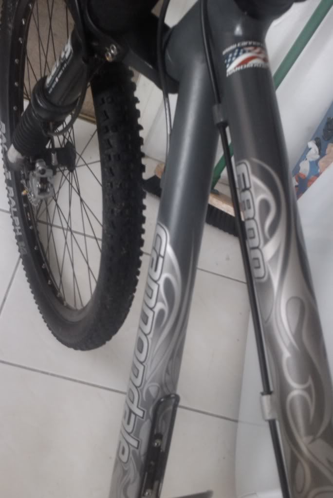 IMAG0258.jpg