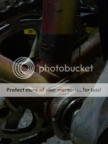 2012-11-02135425.jpg