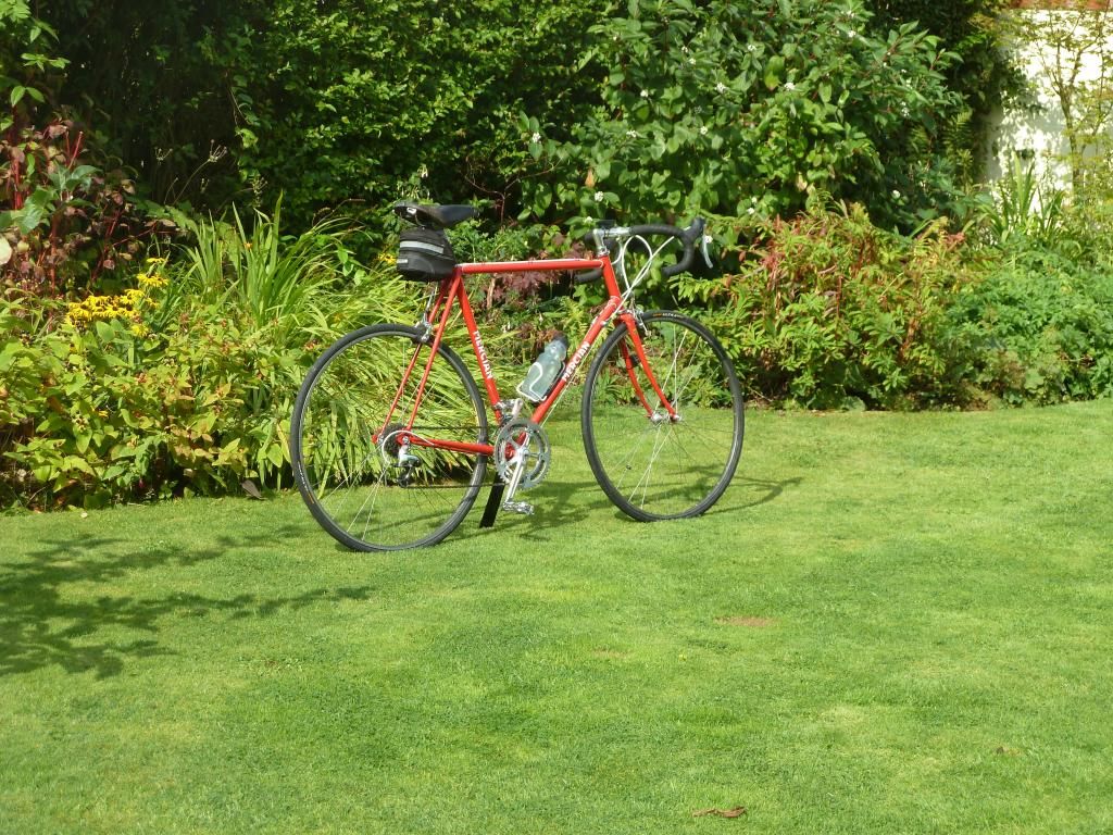 mercian028.jpg