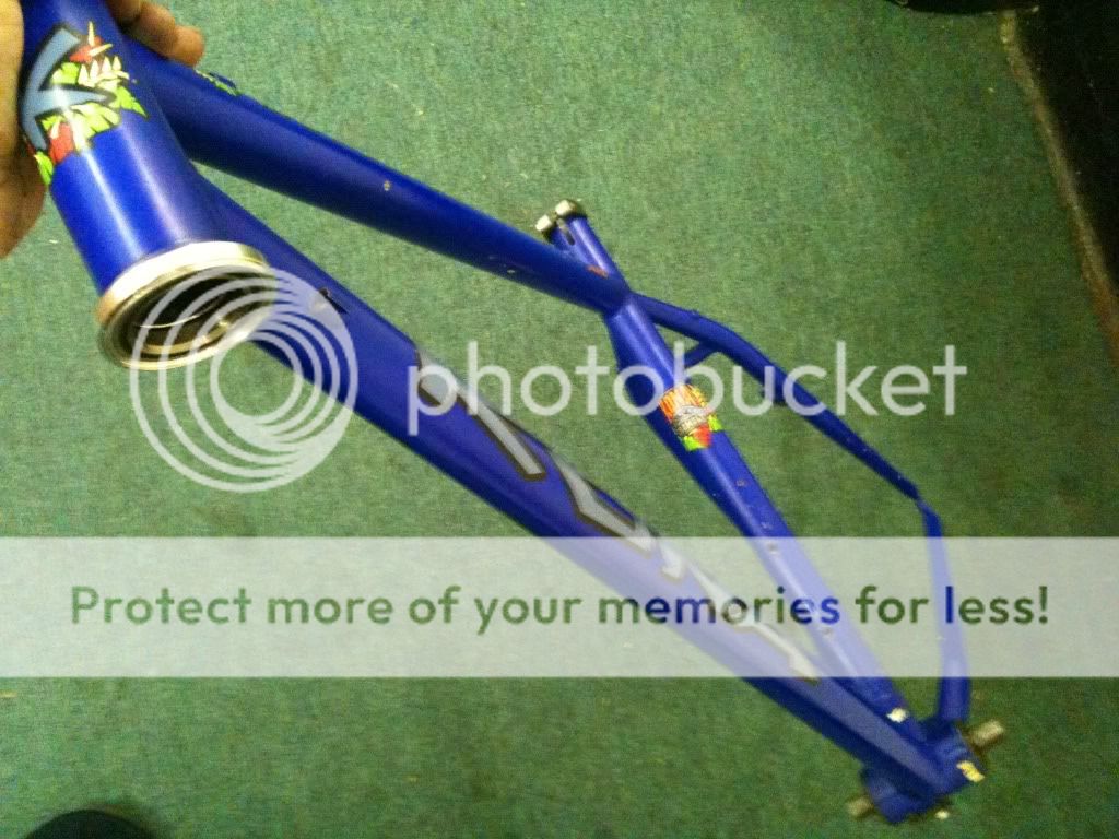 Picture003-3.jpg