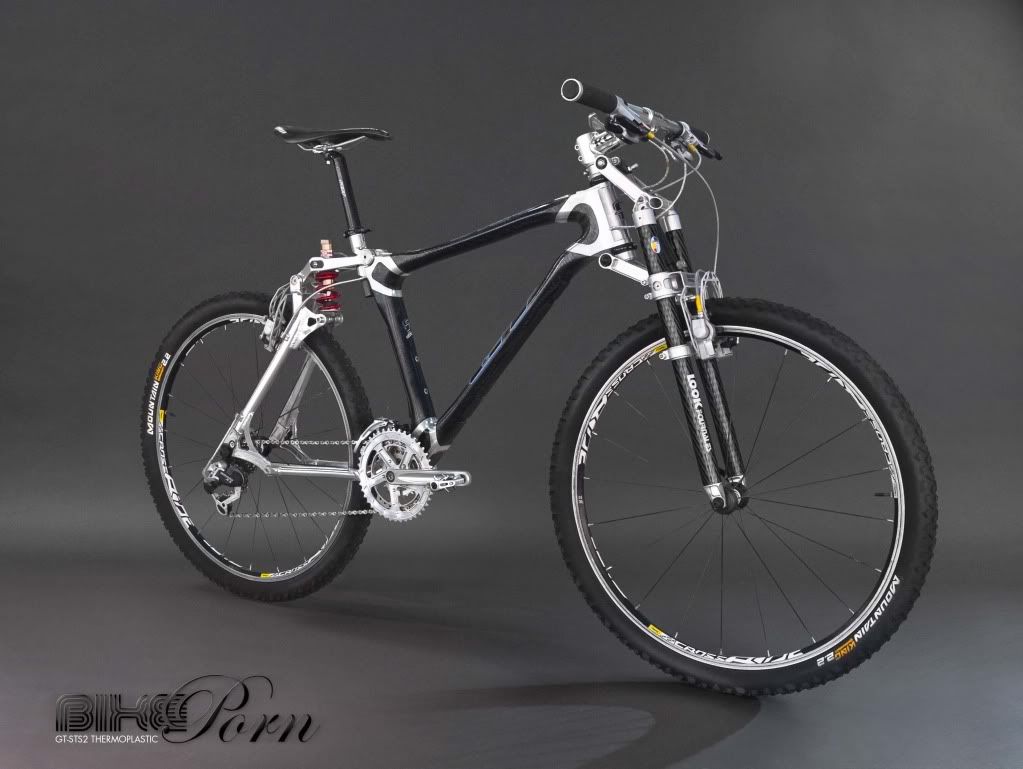 STS2_BIKEPORN-2.jpg