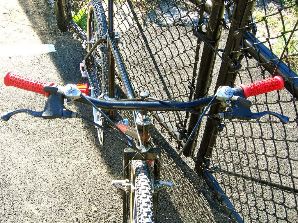 IMG_3183_zps0f28e861.jpg