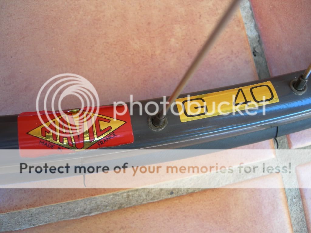DSCN9895.jpg