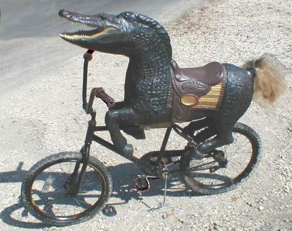 aahorsigator42.jpg