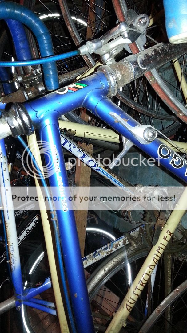 20130912_151213_zpsf13bf24a.jpg