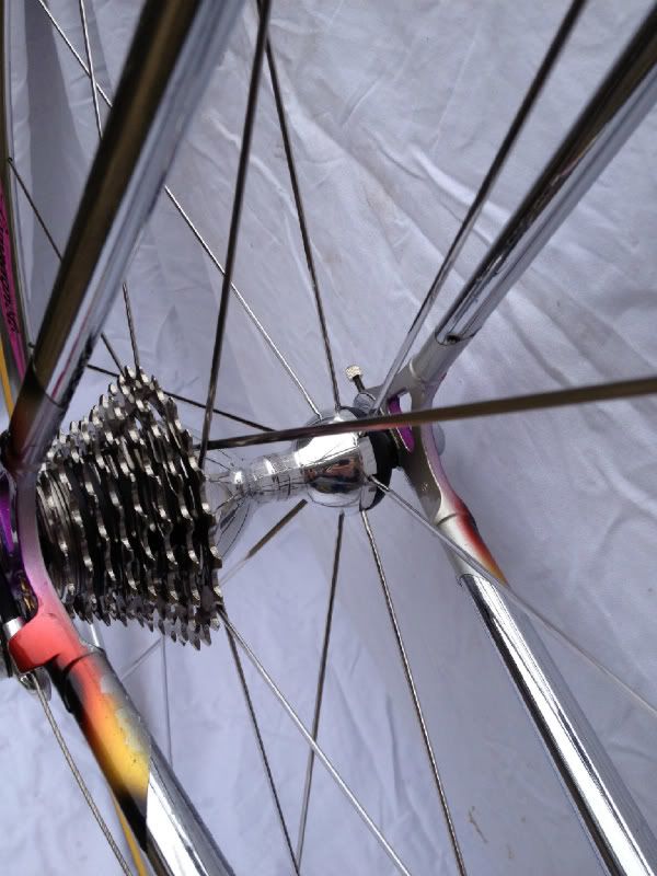 mycolnago023.jpg