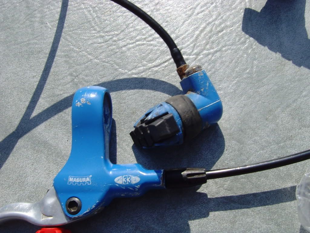 SNV35524.jpg