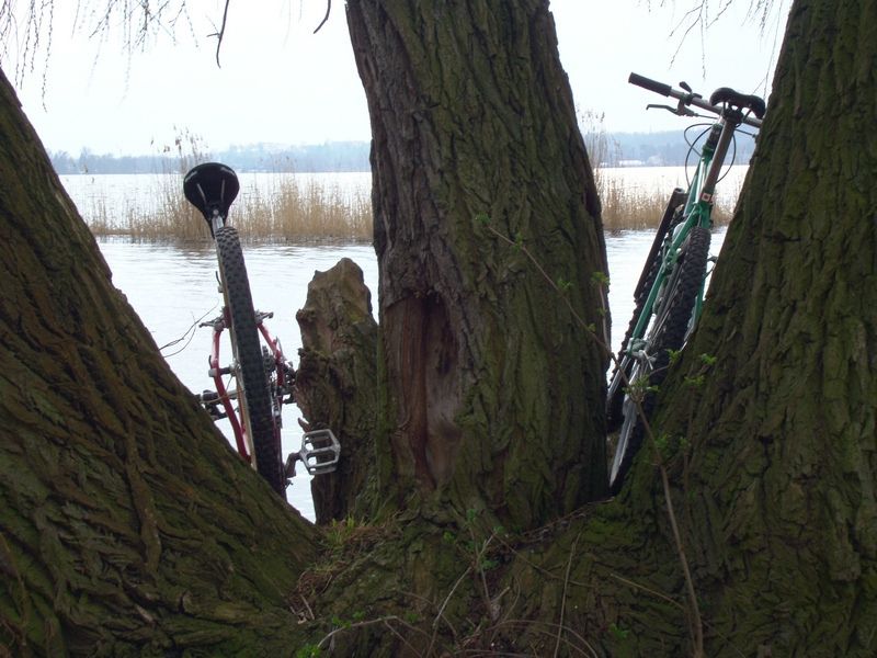 bmx4130crmo.jpg