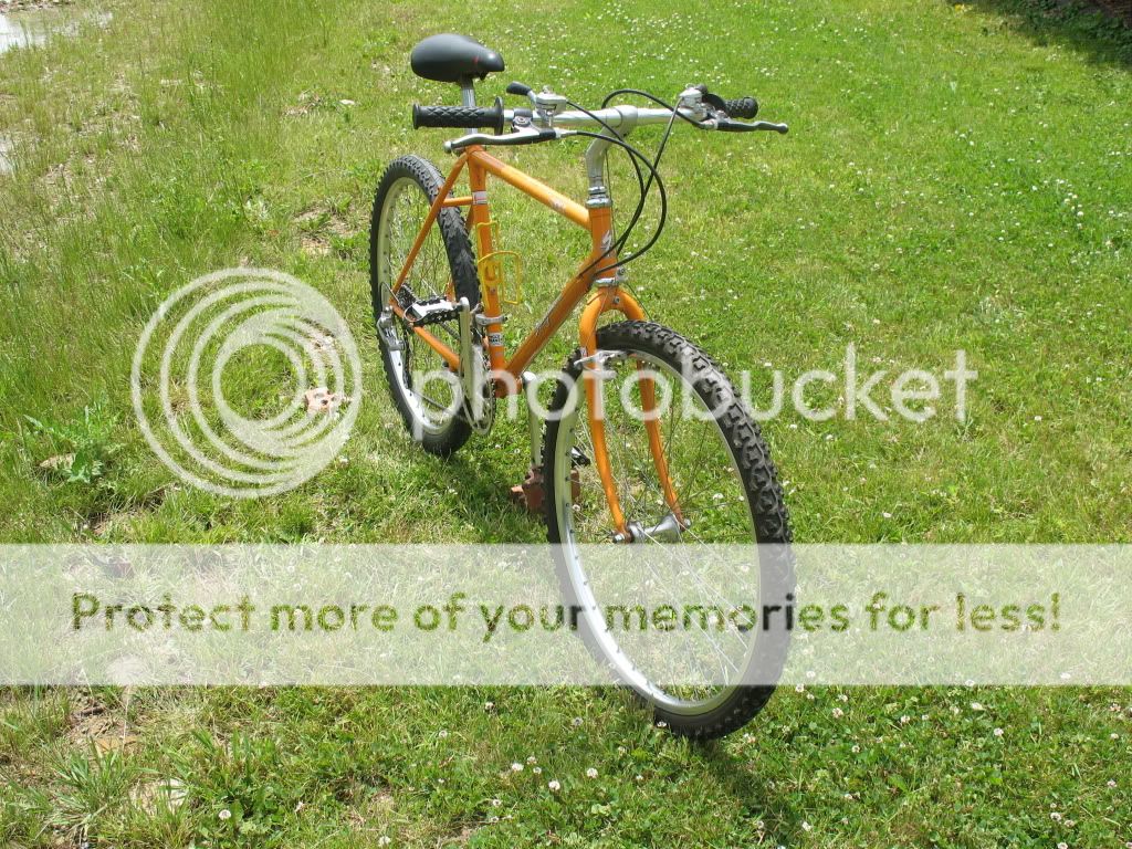 IMG_0110.jpg