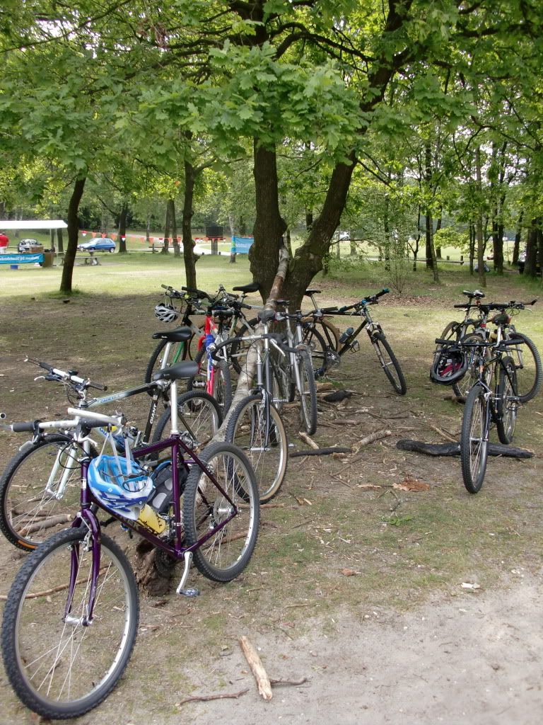 CIMG0375.jpg