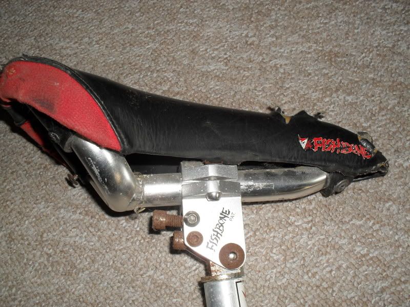 SDC12614.jpg