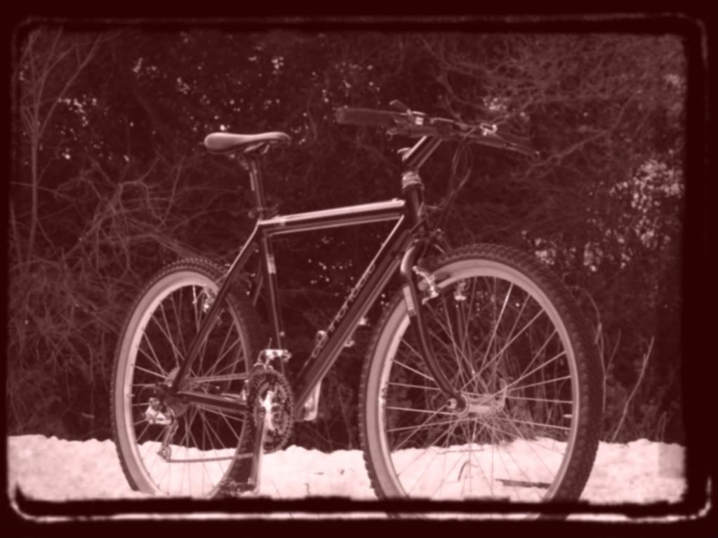 PICT0217-1.jpg