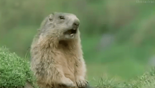 nm1MbxH.gif