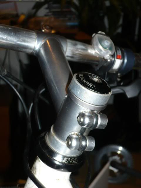 P1020207.jpg